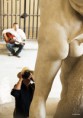 /album/quand-mon-objectif-tra%c3%aene%2c-le-regard-s%27arr%c3%aate-sur-/le-petit-oiseau-va-sortir-jpg/